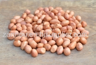 raw Peanuts kernels nuts