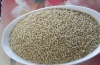 Hight quality sesame seed