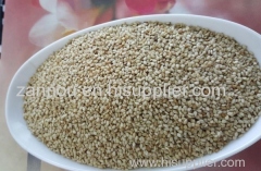 Hight quality sesame seed