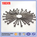 Common Round Nail/Wire Nails/Iron Nails