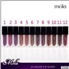 12 color liquid lipgloss long lasting hot sale colorful lip gloss cosmetics makeups lipstick lipgloss