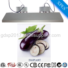 Best quality 2017 new induction plant grow light for blooming in Scotland