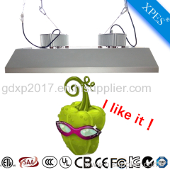 Best quality 2017 new induction plant grow light for blooming in Scotland