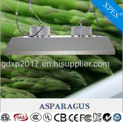 Best quality 2017 induction grow light with 5 years warranty for blood orchid flower