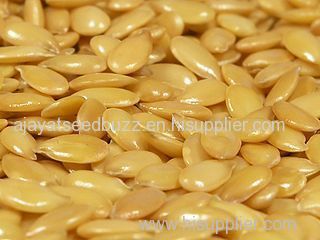 High Quality Golden Flax Seeds