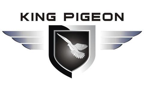 King Pigeon communication company