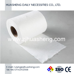 Supplier of Nonwoven Roll Towel