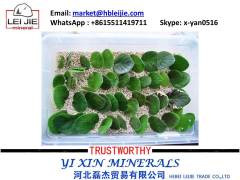 supply perlite with best price