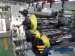 PE board production line HDPE board production line PP board production line ABS board production line