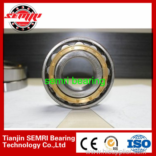cylindrical roller bearing 41(skp:TJSEMRID)