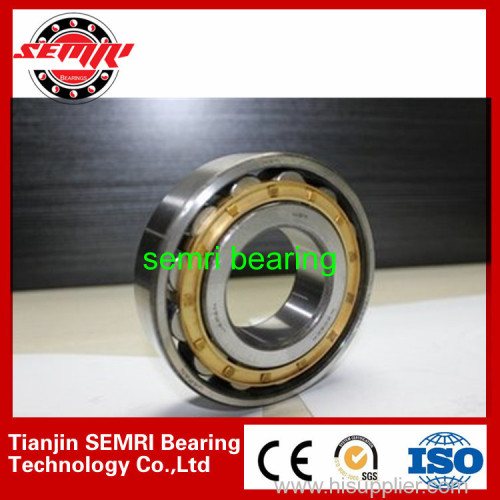 cylindrical roller bearing 31(skp:TJSEMRID)