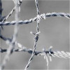 Hot-dip Zinc Plating Barbed Wire