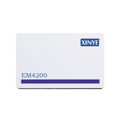 Magnetic stripe radio frequency identification card