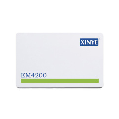 Magnetic stripe radio frequency identification card