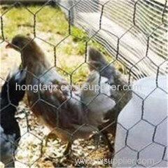 Hexagon Twisted Poultry Wire Mesh