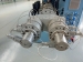 Double Out PVC Pipe Production Line for electric pipe