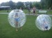 Hot sale Clear Inflatable Bumper Ball for kids and Adult