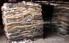 Dry and Wet Salted Donkey/Horse hide /Wet Cow Hides