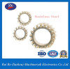 Tooth Factory Spring/Lock Washer / Washers