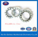 High Quality Stainless Steel External Serrated Lock Washer with ISO
