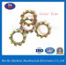Tooth Factory Spring/Lock Washer / Washers with ISO