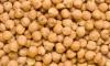 best quality chickpea market price HPS white chick pea beans