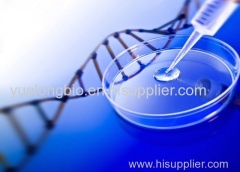Yue Long Bio-Chemical Co., Ltd