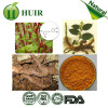 98% Resveratrol Polygunom Cuspidatum root extract bulk powder