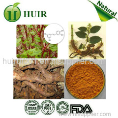 98% Resveratrol Polygunom Cuspidatum root extract bulk powder