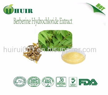 Berberine Hydrochloride 97% bulk powder