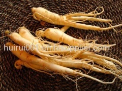 Low pesticides Korean Red Ginseng extract 80% ginsenosides