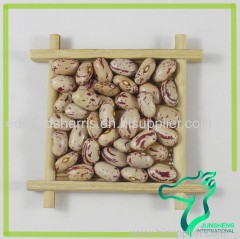 American Round Light Speckled Kidney Beans LSKB Sugar Beans for Sale Pinto Beans Size 200-220 2016 crop
