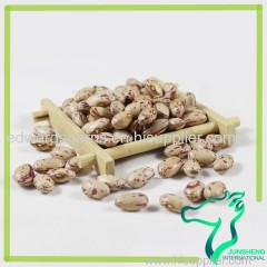 American Round Light Speckled Kidney Beans LSKB Sugar Beans for Sale Pinto Beans Size 200-220 2016 crop