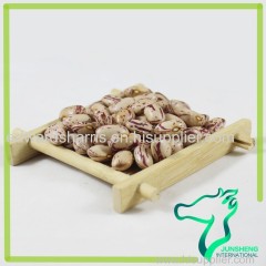 American Round Light Speckled Kidney Beans LSKB Sugar Beans for Sale Pinto Beans Size 200-220 2016 crop