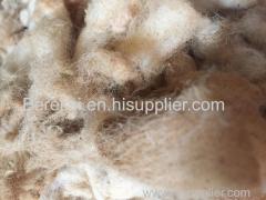 Raw Greasy Sheep Wool