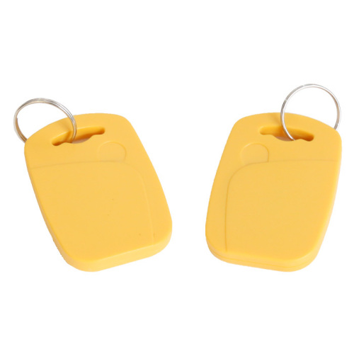 PVC T5577 RFID Key Fob