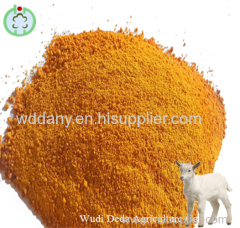 corn gluten meal animal feed