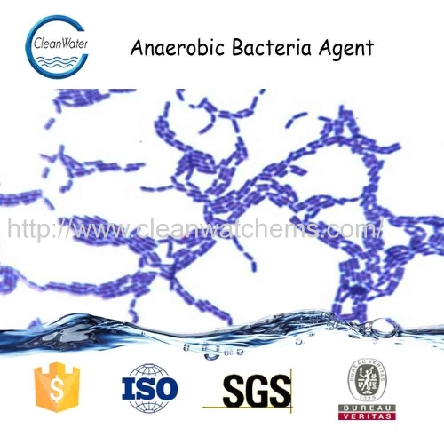 Bacteria Agent Take the Water insoluble Organic Matte Into Soluble Organic Matter