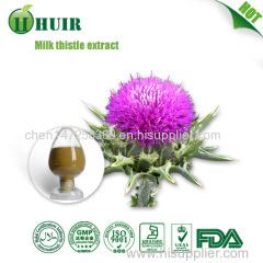 Top Quality Silymarin Milk Thistle Extract 80% Silymarin