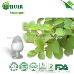 High quality giant knotweed extract/giant knotweed extract bulk resveratrol