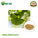 Professional manufacturer supply natural ginkgo biloba P.E.