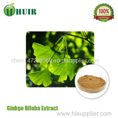Professional manufacturer supply natural ginkgo biloba P.E.