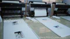 Interior decoration picture High-difinition digital printing with or without frame