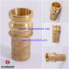 Hot sale competitive Forged brass cam lock and groove couplings