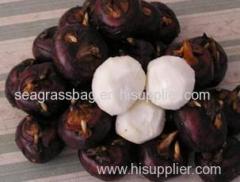 Water chestnut flour suppliers