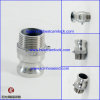 Hot sale competitive SS BSP screwed camlock coupling