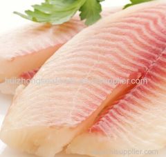 frozen tilapia fillets / frozen tilapia