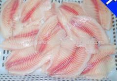 frozen tilapia fillets/export tilapia fillet