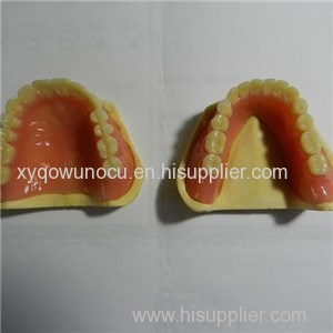 Acrylic Denture Product Product Product