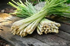 DRIED LEMONGRASS LEAVES suppliers